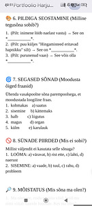 Eesti keelest vene keelde tõlkija (3 foto / 9)