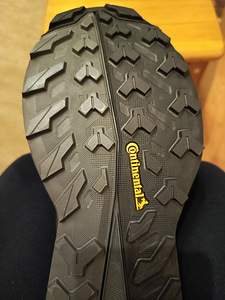Adidas Terrex free hiker 2
