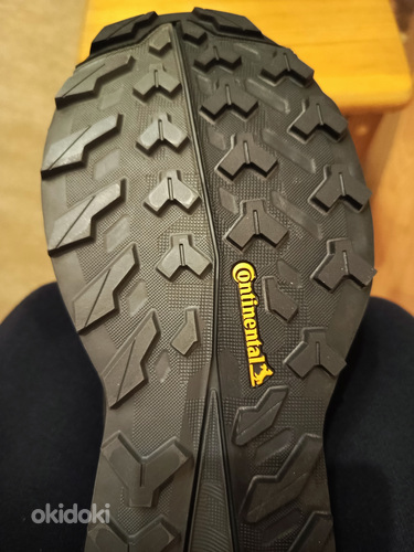 Adidas Terrex free hiker 2