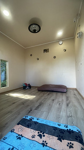 Новый отель для собак " Hermiona Home" (3 фото из 10)