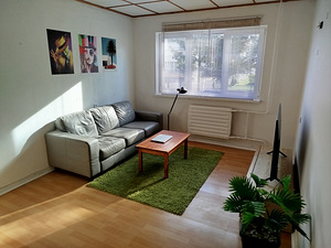 Vaikne rajoon pargi kõrval (1 foto / 12)