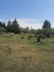 Продается дача в Балтике (1 фото из 1)