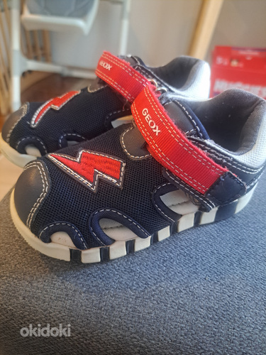Laste sandaalid Geox
