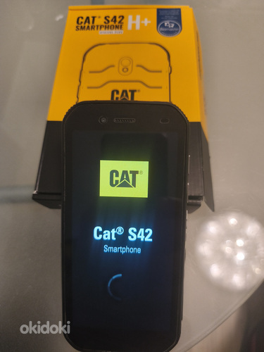 CAT S 42 smartphone