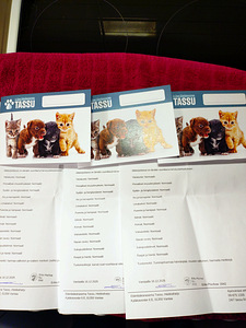 Söpöt kissanpennut (8 valokuva sivusta 9)