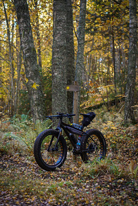 Fatbike Scott Big Jon 2021 (L raam) (7 foto / 9)