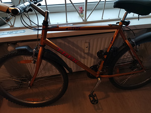 Jalgrattas TREK 800 SPORT (1 foto / 1)