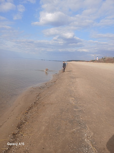 Sepa tn 14, Narva-Jõesuu, Narva-Jõesuu linn, Ida-Virumaa (13 foto / 13)