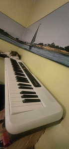 Синтезатор CASIO CT-S200 WE (3 фото из 3)