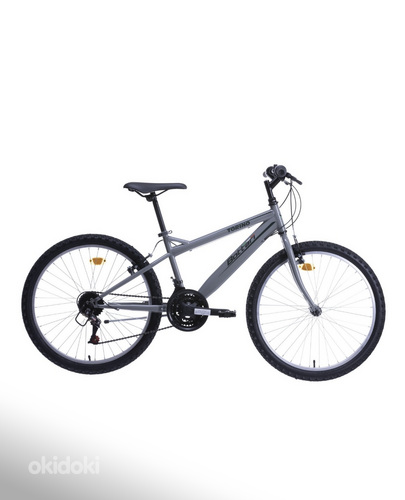 Laste jalgratas (Bottari Torino 24'')