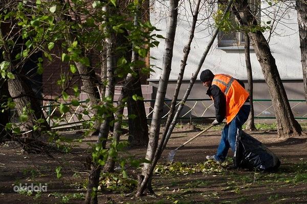 Уборка и вывоз мешков с листьями !!! (фото #2)