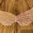 Крылья (фото #2)
