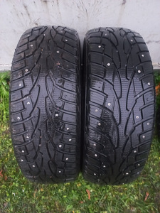 Naastrehvid R15 Nakang (4 foto / 4)