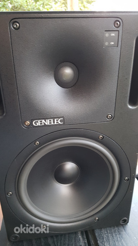 Genelec 1031A (foto #2)