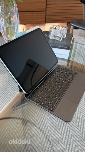 iPad Pro M4 11” 512 gb Wifi Hõbe