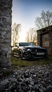Ford Mustang GT (1 foto / 9)