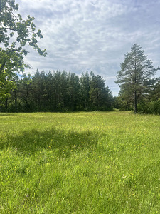 Pallasmaa, Muhu vald, Saaremaa (2 foto / 31)