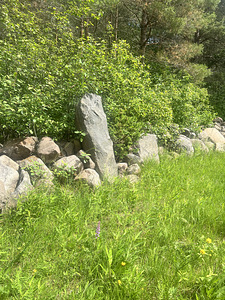 Pallasmaa, Muhu vald, Saaremaa (16 foto / 31)