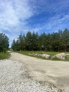 Pallasmaa, Muhu vald, Saaremaa (7 foto / 31)