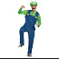 Mario luigi kostüüm (foto #1)