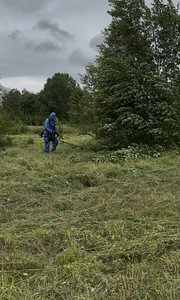 Kõrge/madala rohu niitmine, põõsaste lõikamine. (6 foto / 6)