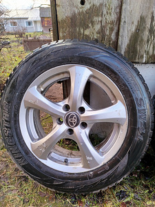 Autoveljed koos rehvidega (5 foto / 7)