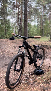 Dirt jumper (1 фото из 2)