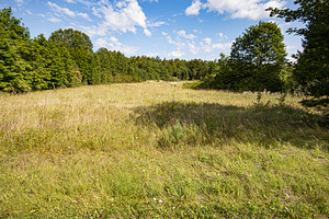 Hubane talu Läänemaal (14 foto / 14)