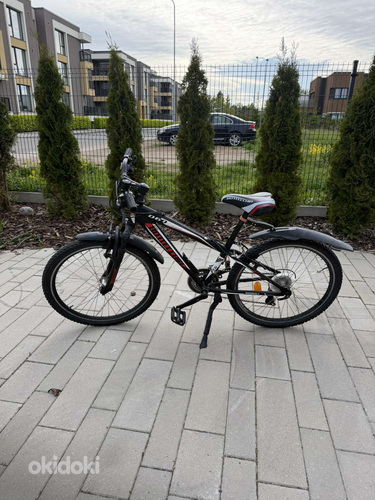 Велосипед BOTTECCHIA 060 24"