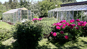 Müüa suvila Keila lähedal (2 foto / 15)