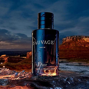 Dior sauvage 100ml edp (1 foto / 4)