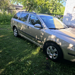 Škoda Oktavia 1.9 TDI 2006 (1 foto / 10)