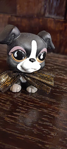 Lps Littlest Pet Shop, LPS Hasbro dogi (4 foto / 8)