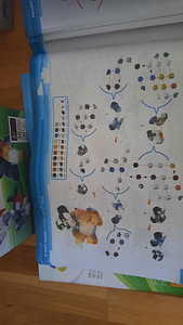 Gigo konstruktor 2 karppid (2 foto / 10)