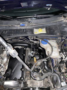 Volkswagen Passat B5.5 1.9 (13 foto / 13)