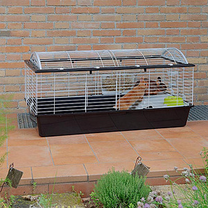 Ferplast Casita 120 119x58x60 cm puur närilistele (5 foto / 9)