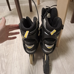 Rulluisud (3 foto / 6)