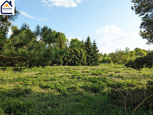 Harju maakond, Kuusalu vald, Salmistu küla, pedasaare tee 105 (3 foto / 19)