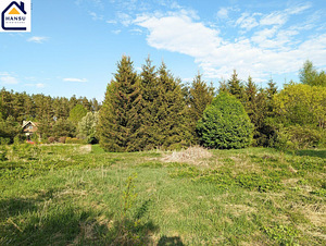 Harju maakond, Kuusalu vald, Salmistu küla, pedasaare tee 105 (9 foto / 19)
