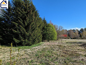 Harju maakond, Kuusalu vald, Salmistu küla, pedasaare tee 105 (13 foto / 19)