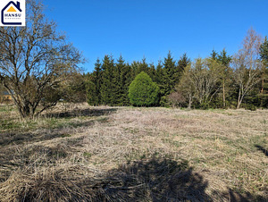 Harju maakond, Kuusalu vald, Salmistu küla, pedasaare tee 105 (15 foto / 19)