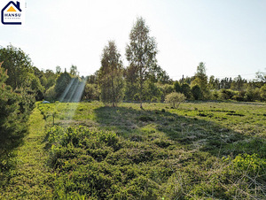 Harju maakond, Kuusalu vald, Salmistu küla, pedasaare tee 105 (16 foto / 19)