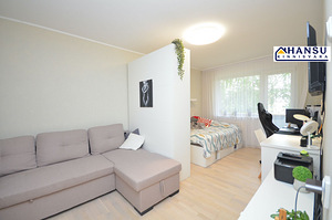 Kivila tn 4, Lasnamäe, Tallinn, Harjumaa (14 foto / 26)