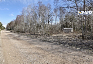 Intsu, Roobaka, Saaremaa vald, Saaremaa (14 foto / 22)
