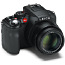 Leica V-Lux 4 (фото #2)