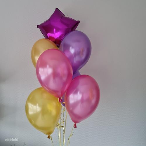 Воздушные шары в Харьюмаа (фото #8)