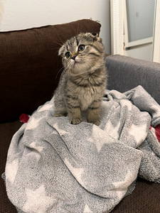 Cocolle oma koti! (2 valokuva sivusta 4)