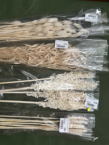 Kuivatatud lilled (2 foto / 4)