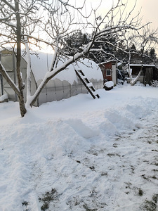 Krund koos majaga aastaringseks elamiseks. (42 foto / 45)