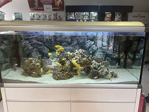 Akvaariumi komplekt 360L (5 foto / 6)
